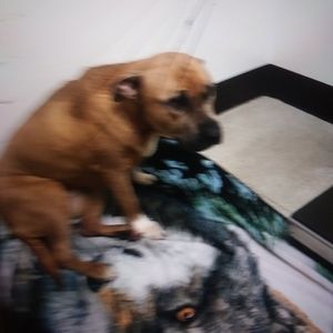 Meet your Posher, Ray